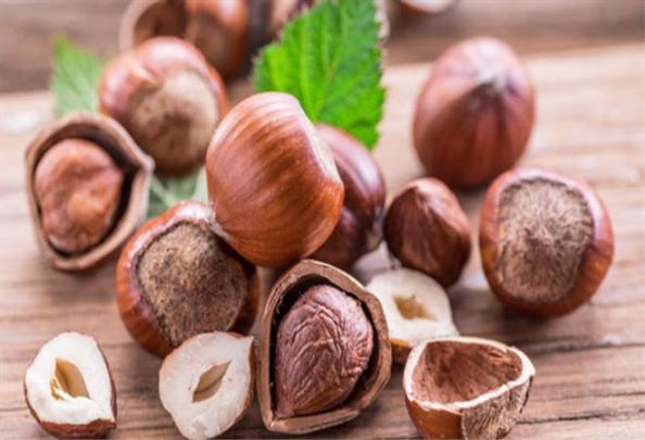 ویژگی بهترین مغز فندق