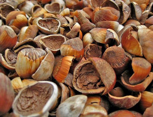 خصوصیات انواع پوست فندق