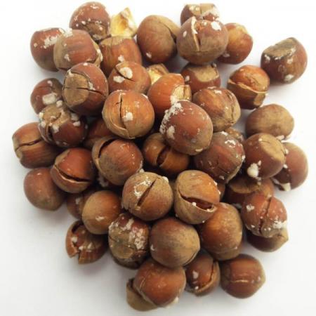 مشخصات کامل فندق شور