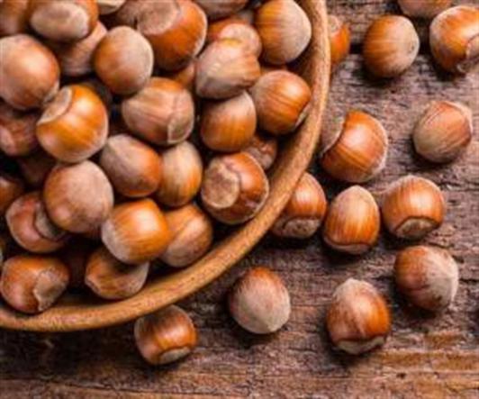 خواص انواع فندق خام