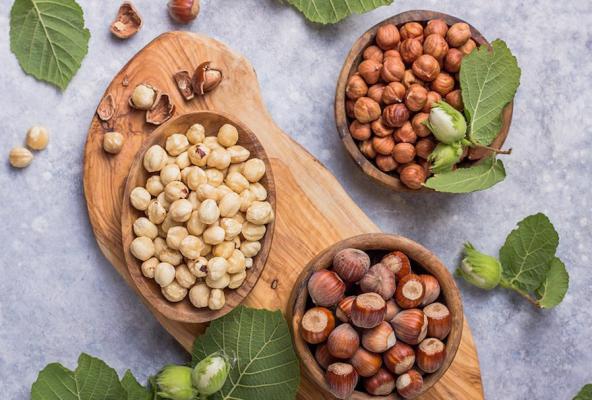 انواع مختلف مغز فندق