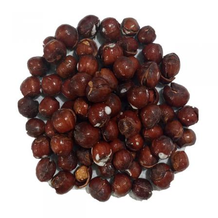 قیمت انواع فندق شور عمده