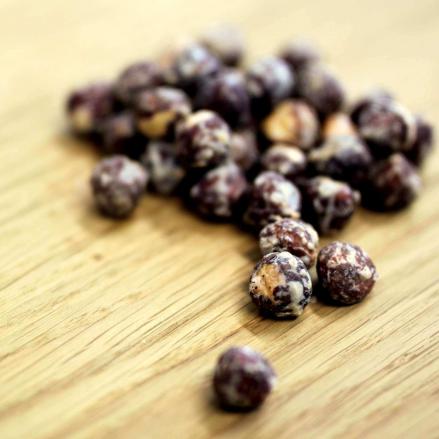 فروشنده انواع فندق شور کیلویی