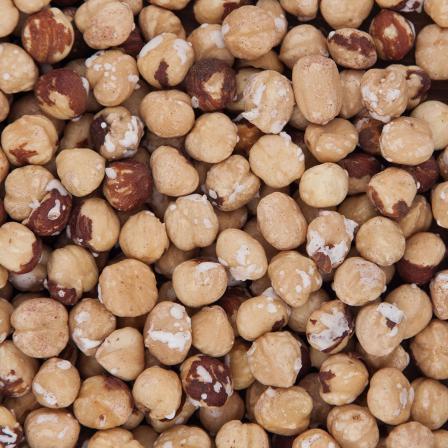 فندق کلسیم خون را زیاد می کند