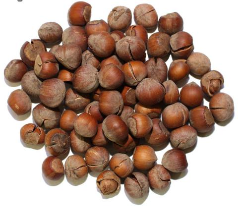 عرضه انواع فندق خام فله