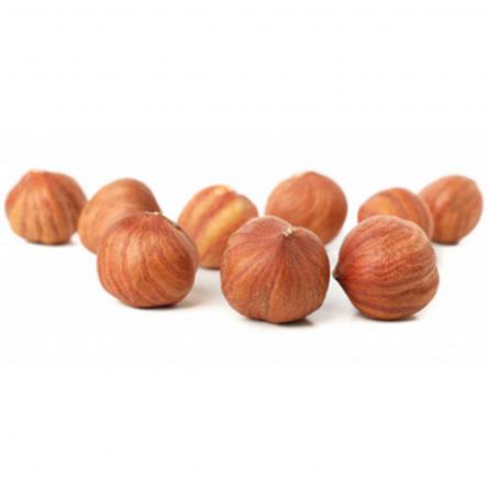 فروشنده مغز فندق خام ایرانی