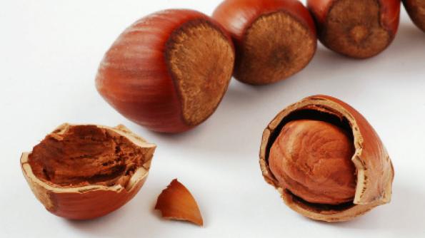 ویژگی بارز فندق خام چیست؟