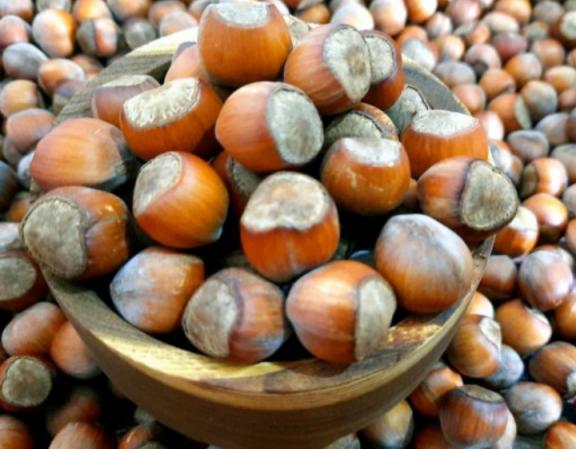 منظور از فندق شکسته چیست؟