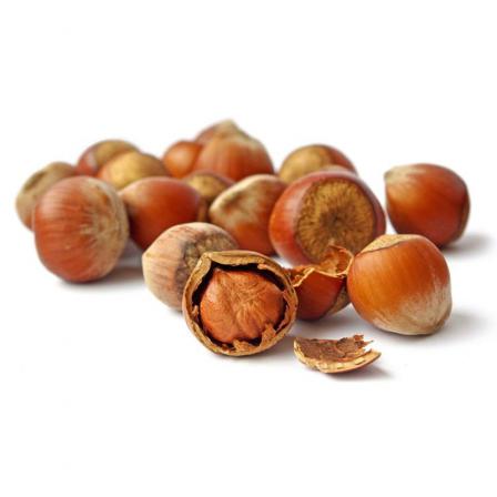 خاصیت فندق تازه درجه یک چیست؟