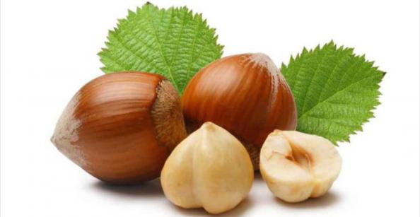 فروش انواع فندق خام با پوست