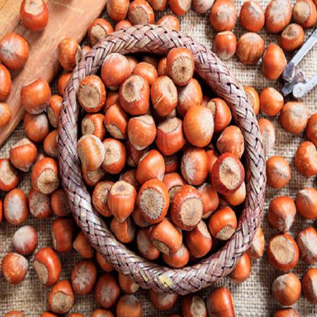 موارد استفاده از فندق خام چیست؟