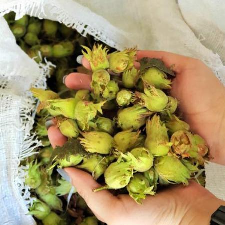 فروشگاه فندق با پوست سبز