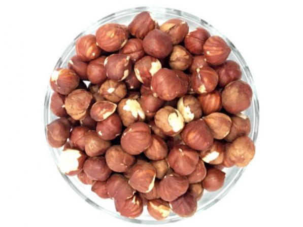 توزیع مغز فندق خام ایرانی