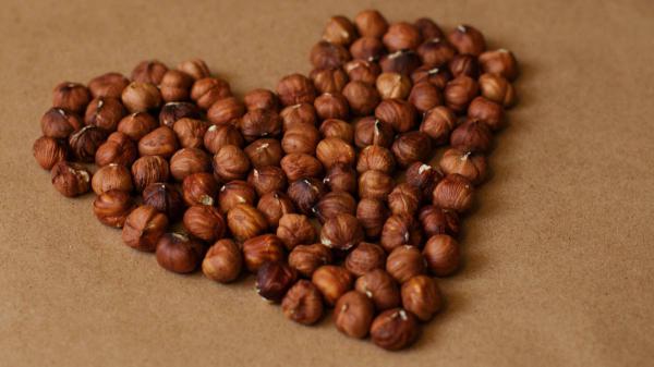 صفر تا صد تولید فندق چیست؟