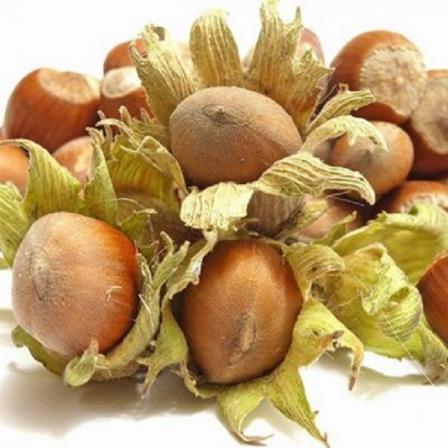 فروش انواع پوست فندق فله