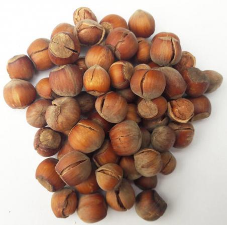 صفر تا صد تولید فندق خندان آجیلی