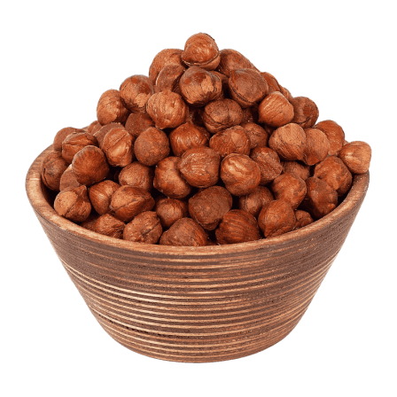 از فندق چه اطلاعاتی دارید؟