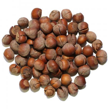 عرضه فندق تازه درجه یک