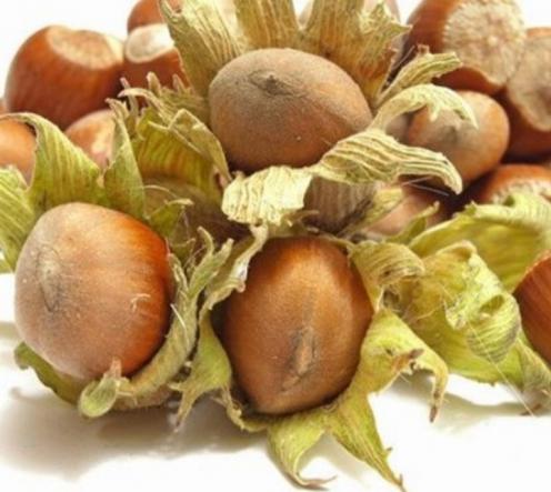 راهنمای انتخاب پوست فندق