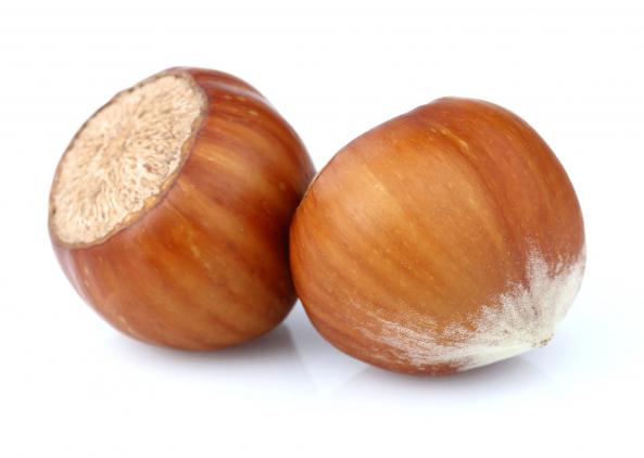 فروشنده مغز فندق مرغوب ارگانیک