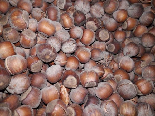 مزایای استفاده از فندق خندان درجه یک