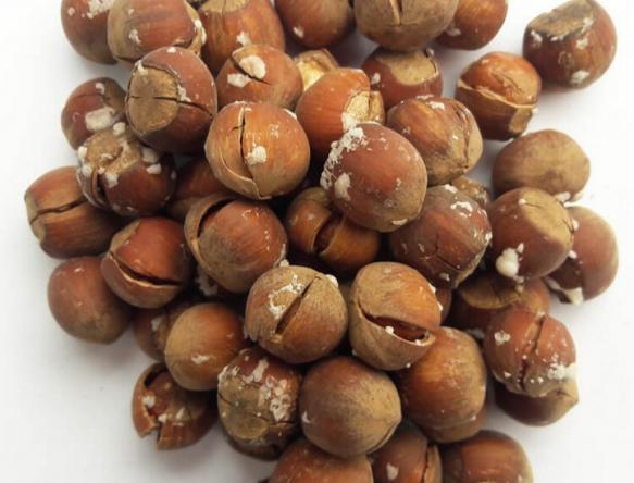 اطلاعات مفیدی درباره فندق شور