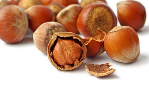 منظور از فندق خندان چیست؟