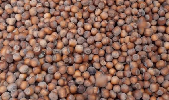 فندق آکنه صورت را کاهش می دهد