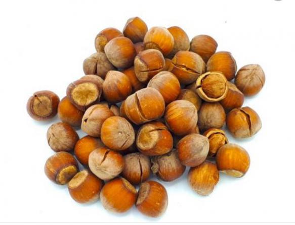 مزایای فندق در کنترل قندخون