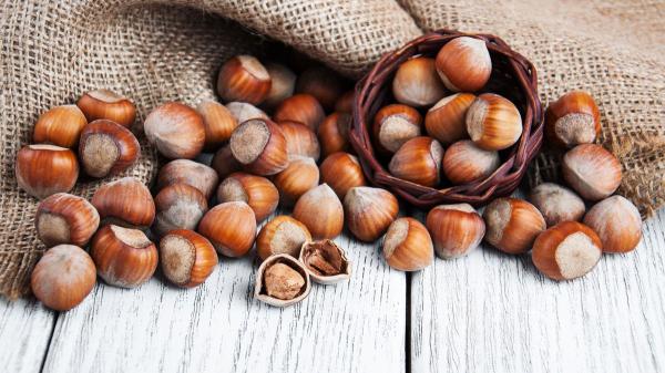 فروشگاه فندق اشکور تازه