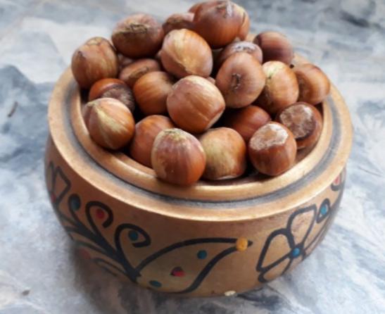 بررسی اثرات درمانی فندق