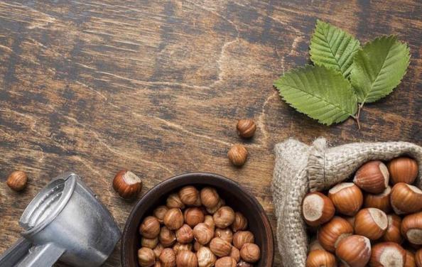 تهیه انواع شکلات با فندق