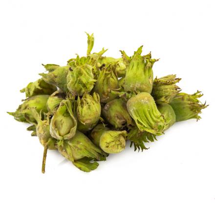 توزیع پوست فندق تازه فله