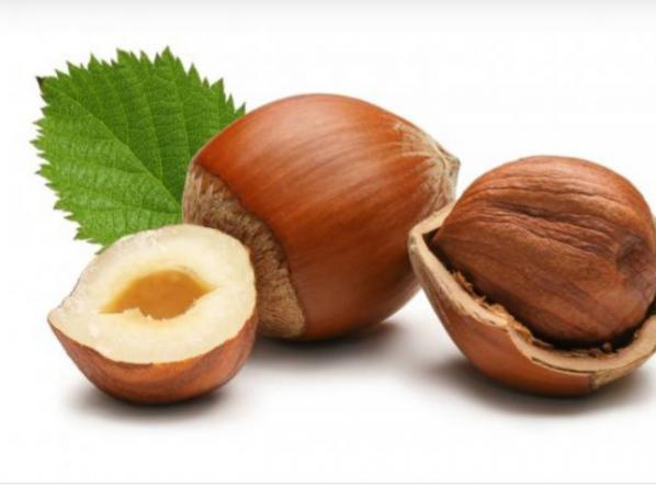 فواید مصرف فندق برای کودکان