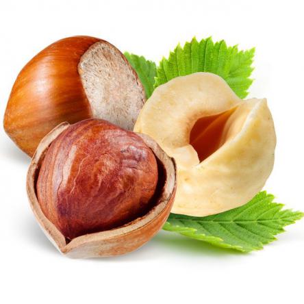 فروش فوق العاده انواع فندق ترک خورده