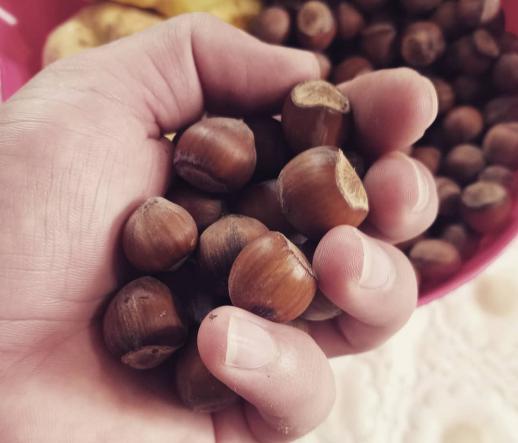 افزایش باروری مردان با خوردن فندق