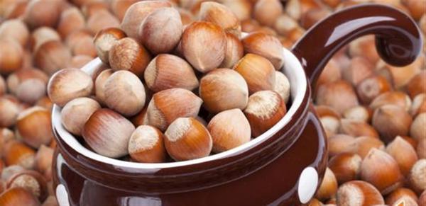 از کاربردهای فندق چه می دانید؟