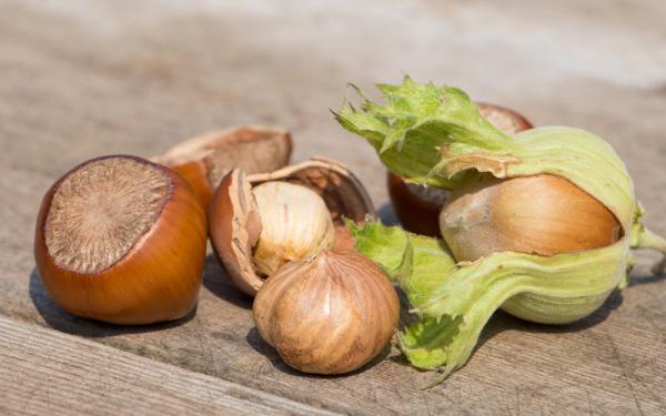 بهبود حساسیت به انسولین با فندق