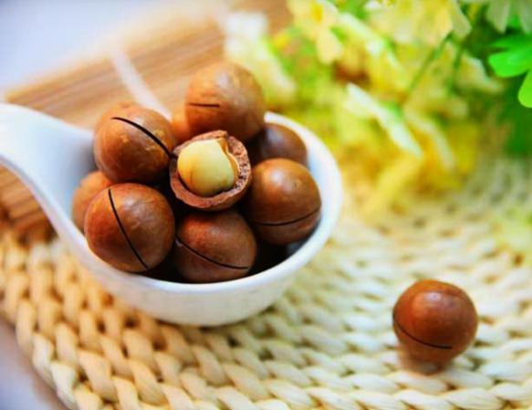 شناخت انواع فندق آجیلی