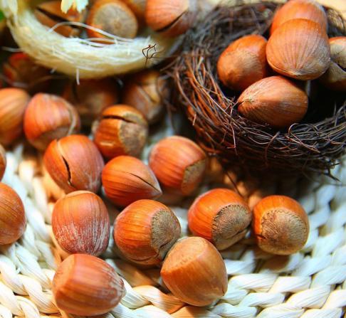 معجزه فندق برای آکنه صورت