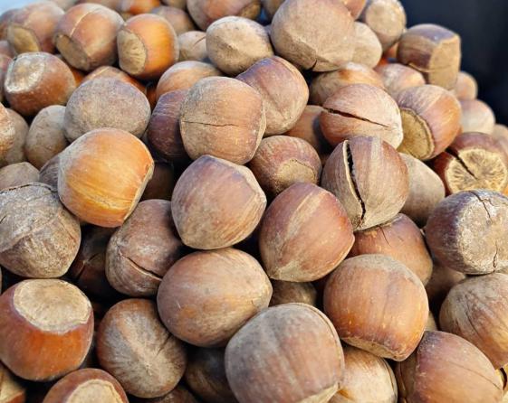 کاهش آکنه های صورت با فندق