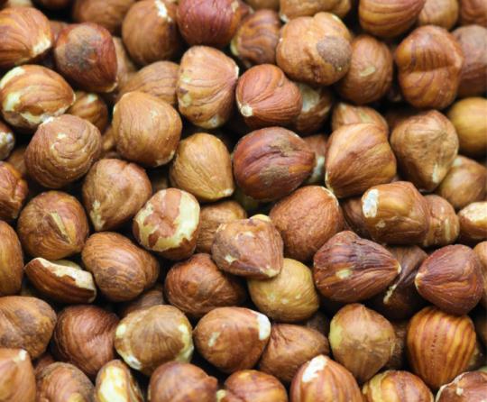 اطلاعاتی جامع درباره فندق ایرانی