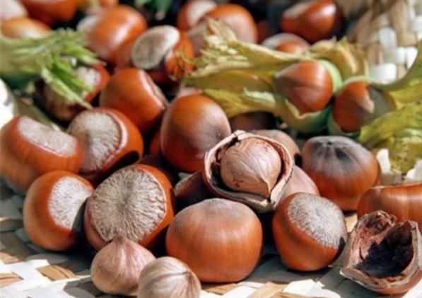 طرز تهیه فندق برشته