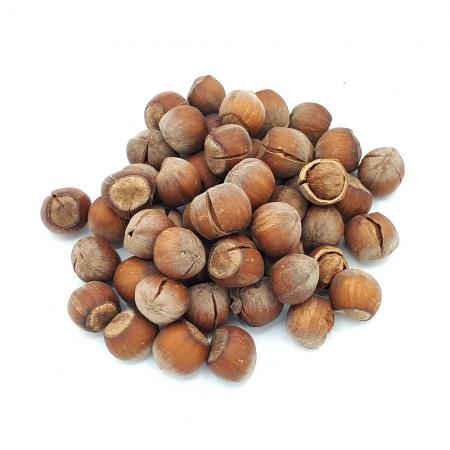 کاهش چربی شکم با خوردن فندق