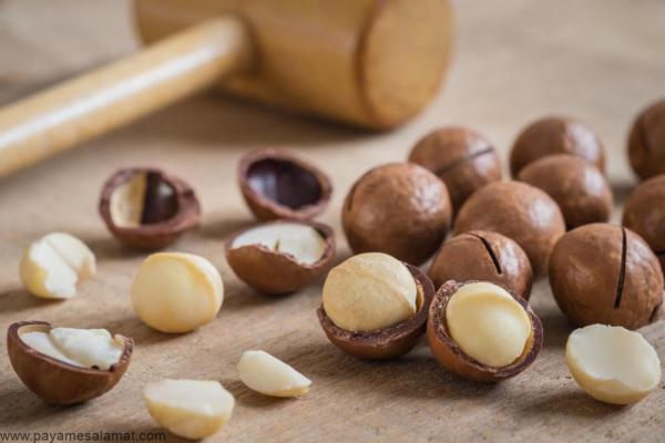 فندق غنی از فیبر است