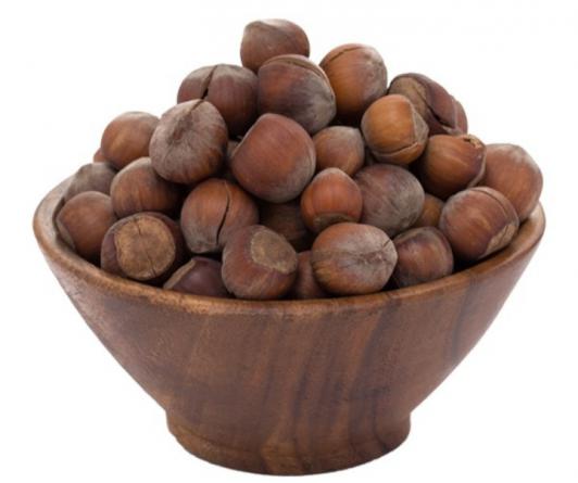 خاصیت انواع فندق تازه