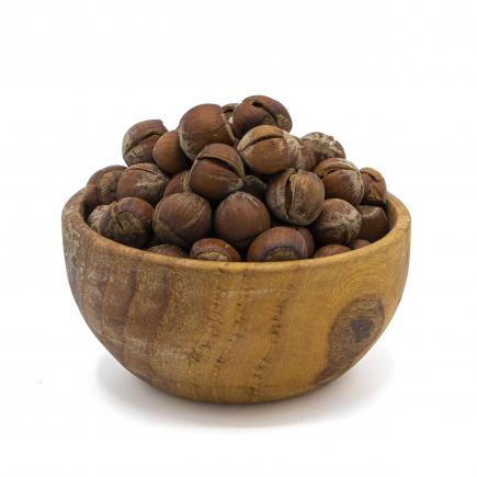 تولیدکنندگان ایرانی فندق خام با پوست