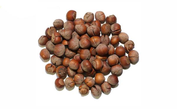 خرید آسان فندق خام عمده
