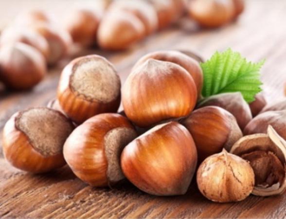 نحوه تولید انواع فندق