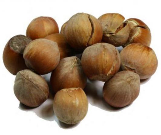 بررسی کیفی انواع فندق